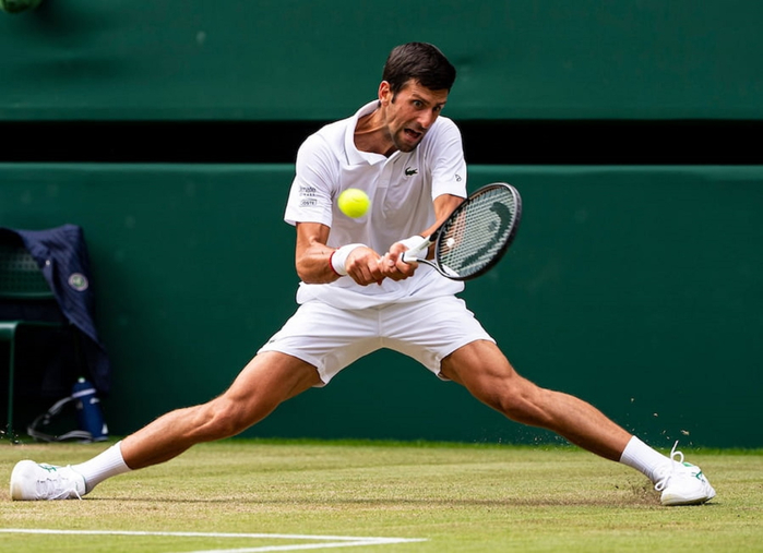 DJOKOVIC-WIMBLEDON-05072019-12551 (700x507, 260Kb)