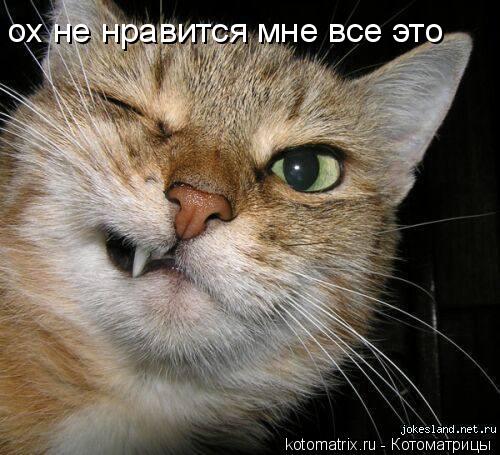 4743317_p (500x455, 51Kb)