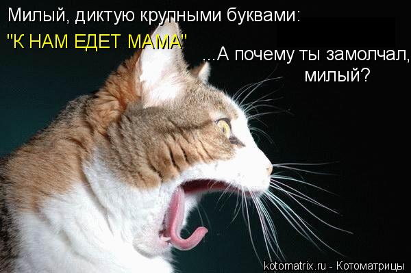 4743317_cI (600x399, 39Kb)