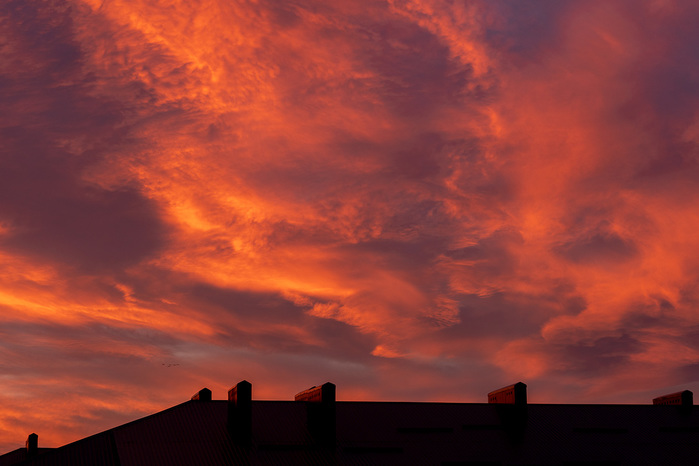 1232105_DSC01690 (700x466, 91Kb)