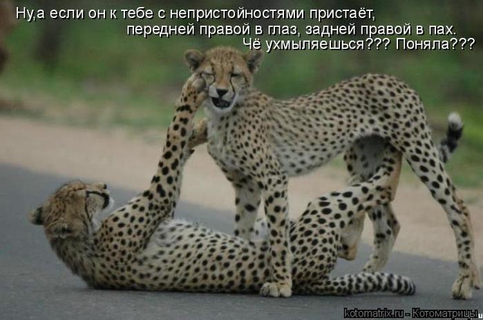 4743317_Cu (700x464, 49Kb)