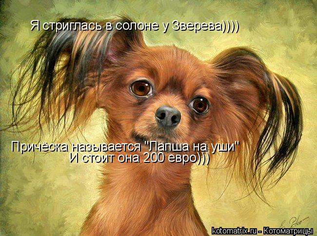 4743317_so (650x484, 76Kb)