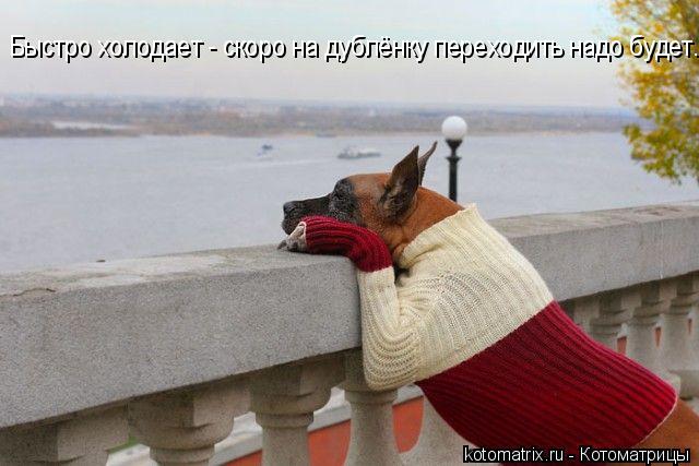 4743317_r (640x427, 44Kb)