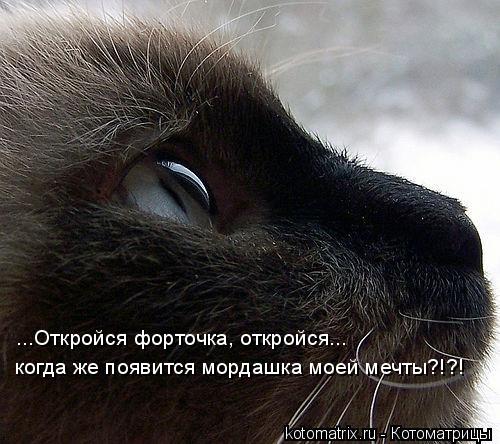 4743317_l (500x444, 51Kb)