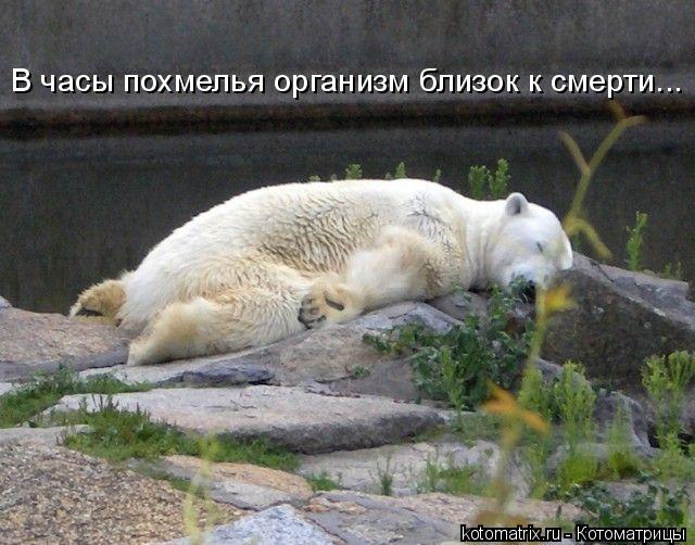 4743317_kz (640x502, 64Kb)
