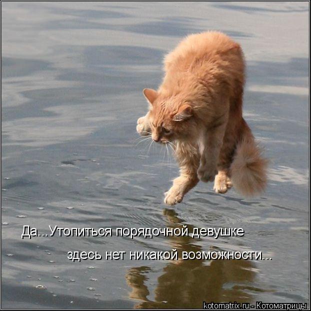 4743317_GG (622x622, 55Kb)