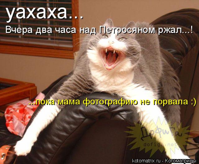 4743317_Gl (640x528, 58Kb)