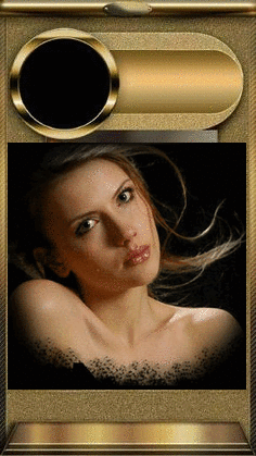oie_overlay (236x419, 661Kb)