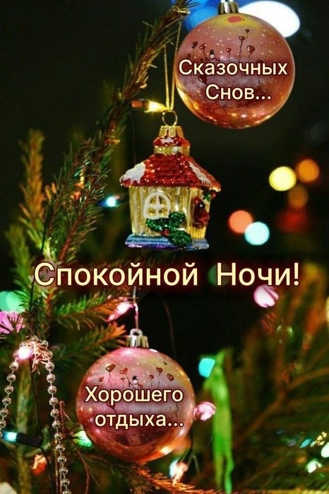 IMG_20221217_155811 (466x700, 68Kb)