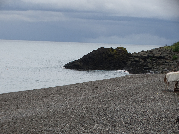DSC00748 (700x525, 361Kb)