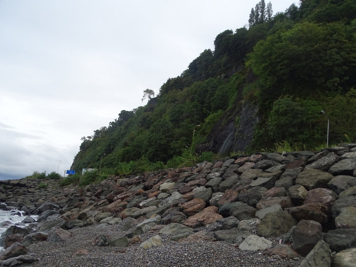 DSC00751 (700x525, 357Kb)