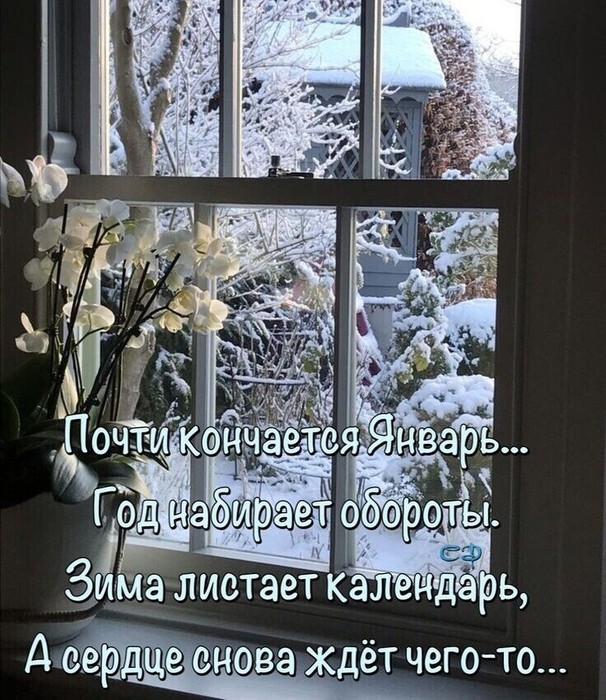 IMG_20230130_092408 (606x700, 152Kb)