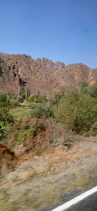 1665082237299 (322x700, 253Kb)