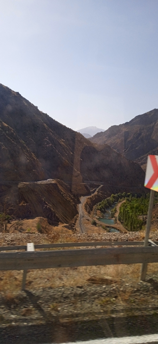 1665082237242 (322x700, 206Kb)