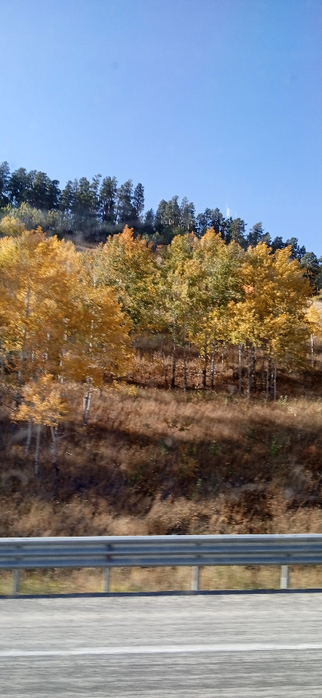 1665082236810 (322x700, 250Kb)