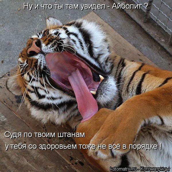 4743317_Mb (599x599, 98Kb)