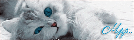 4085248_88c6c9332a67 (459x140, 48Kb)