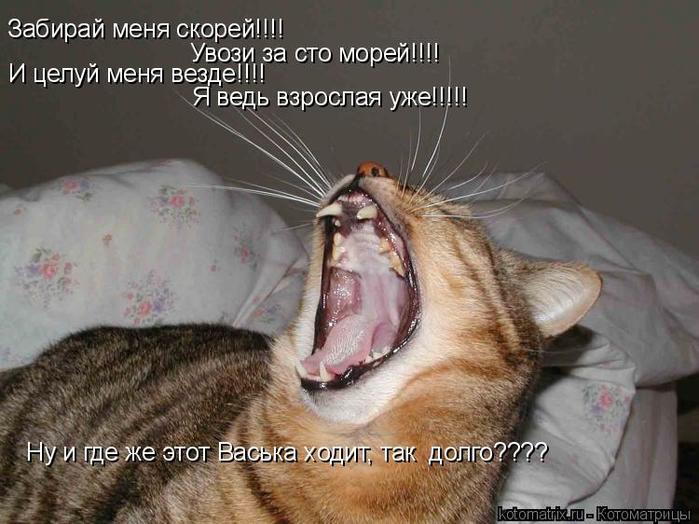 4743317_FK (700x524, 60Kb)