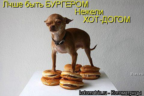 4743317_F_1 (480x320, 33Kb)