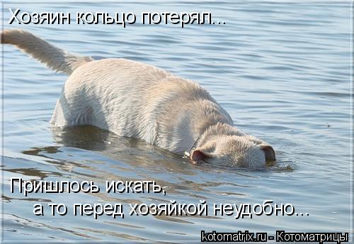 4743317_t (500x344, 39Kb)