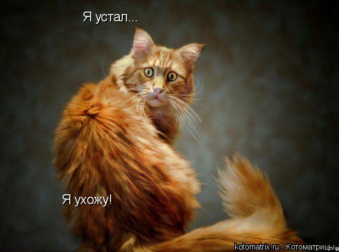 4743317_Av (699x520, 40Kb)