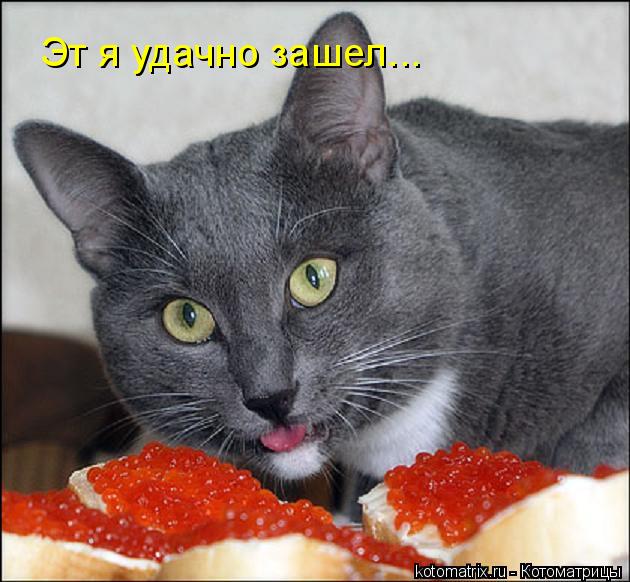 4743317_c5 (630x582, 60Kb)