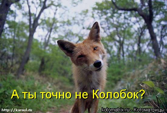 4743317_0p (550x373, 36Kb)