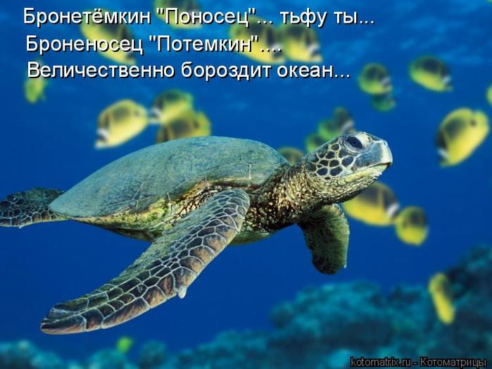 4743317_f4 (700x524, 54Kb)