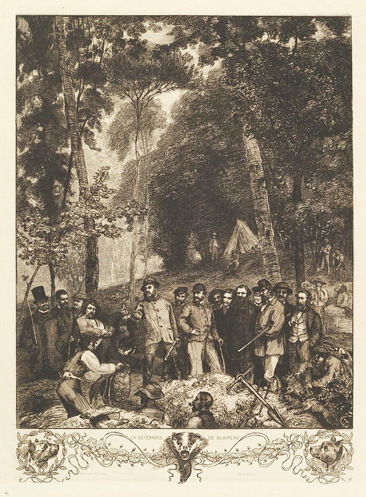 1863 Un Déterrage de Blaireau. . 48 × 37.4 cm.  (516x700, 202Kb)