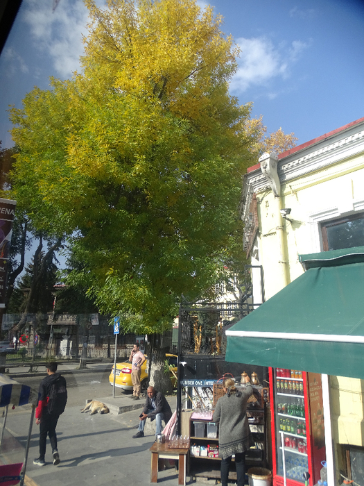 DSC00963 (525x700, 519Kb)