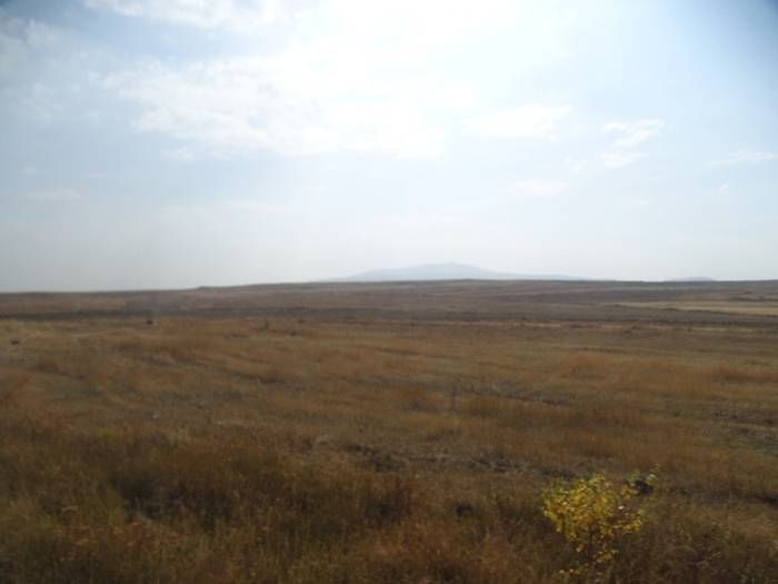 DSC00976 (700x525, 252Kb)
