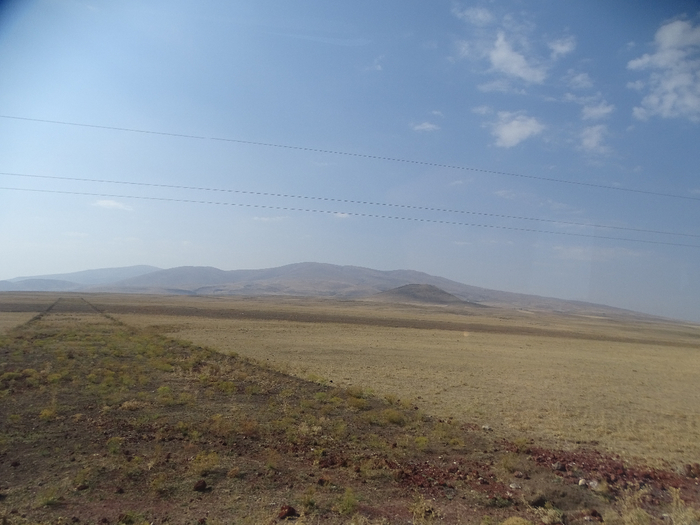 DSC00980 (700x525, 312Kb)