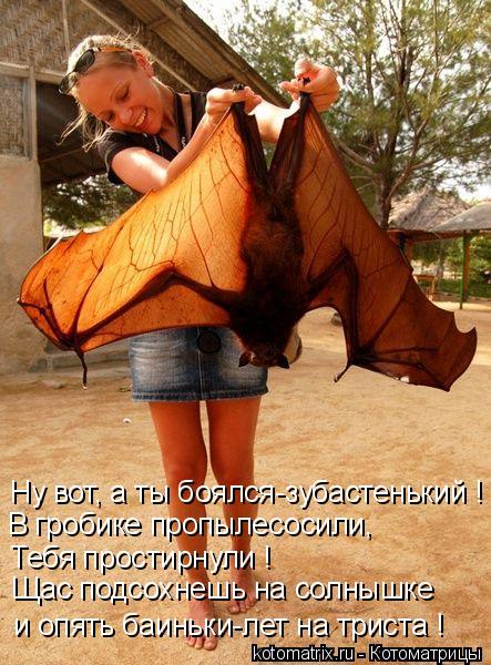 4743317_YL (443x600, 73Kb)