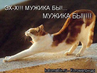 4743317_h9 (400x300, 25Kb)