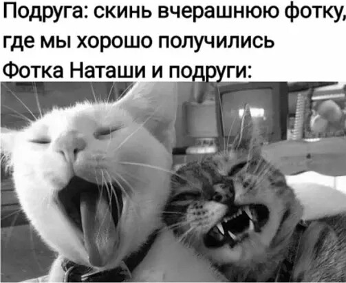 4743317_i_1_jpegrpe (503x411, 50Kb)