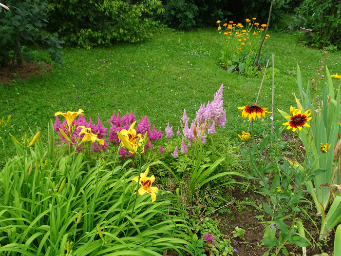 DSC00235 (700x525, 618Kb)