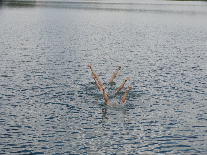 DSC00533 (700x525, 451Kb)