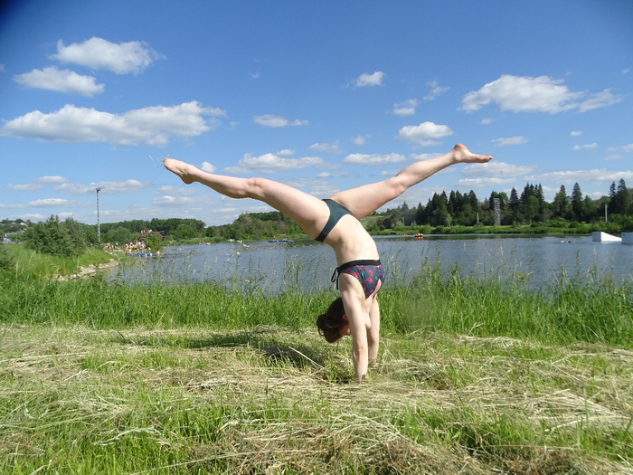 DSC00086 (700x525, 465Kb)