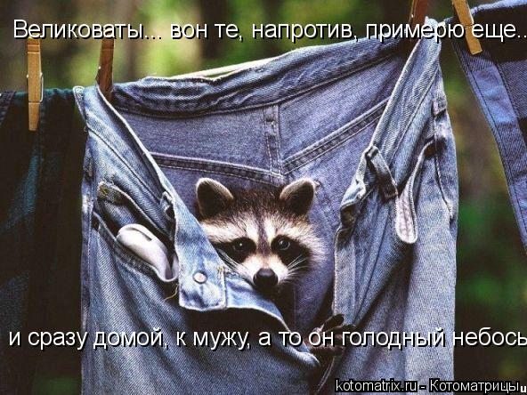 4743317_6X (592x444, 73Kb)
