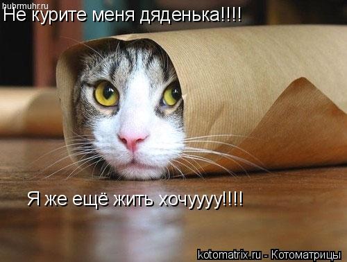 4743317_d9 (500x378, 34Kb)