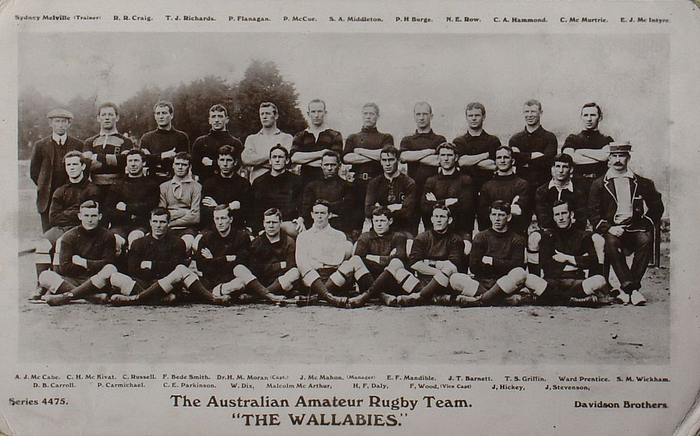 GriffinPostcard_-_Wallabies_1908 (700x436, 291Kb)