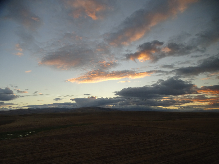 DSC01383 (700x525, 293Kb)