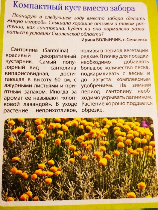 3404189_IMG_20230219_123514 (528x700, 369Kb)