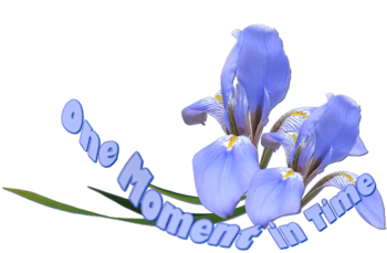 titulo_one_moment_in_time2211_byCidaBen (350x229, 79Kb)