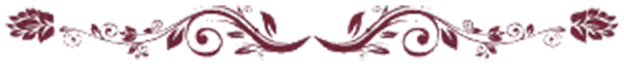 ds (700x74, 101Kb)