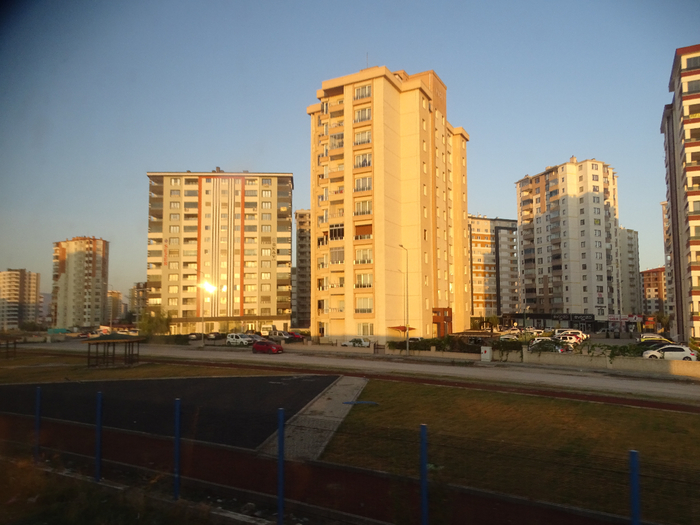 DSC01397 (700x525, 363Kb)