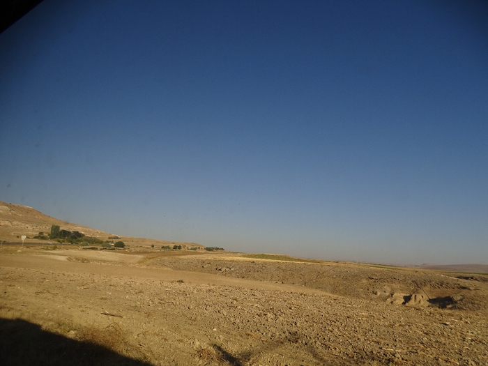DSC01413 (700x525, 316Kb)