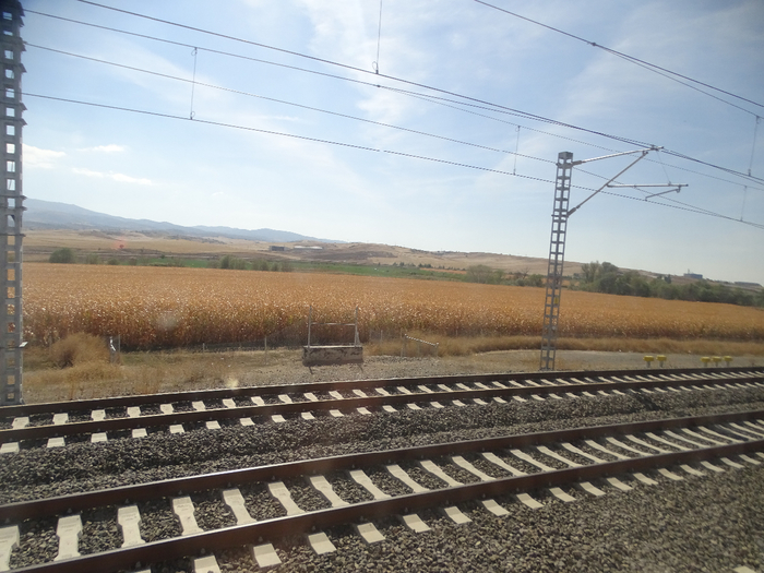 DSC01440 (700x525, 407Kb)