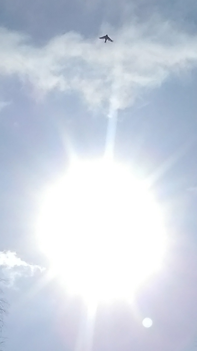 _2023-02-23_191549746 (393x700, 190Kb)