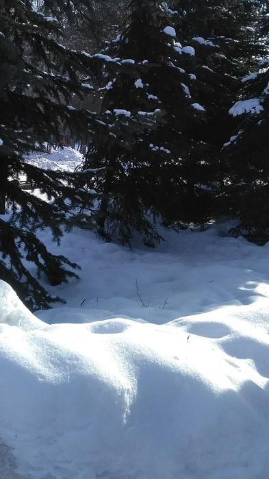 _2023-02-23_191654770 (393x700, 379Kb)